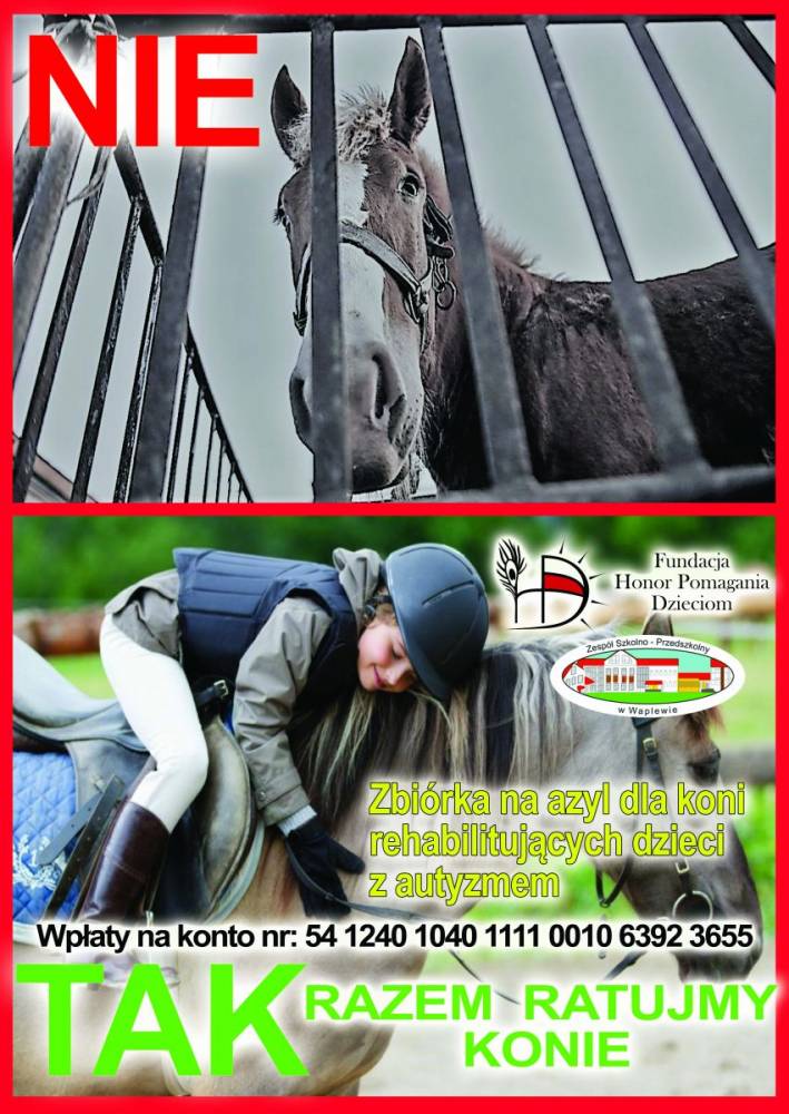 Plakat wykonany przez Nikolę na konkurs - Zdjęcie konia w klatce i zdjęcie dziecka na koniu podczas rehabilitacji oraz napis Razem ratujemy konie