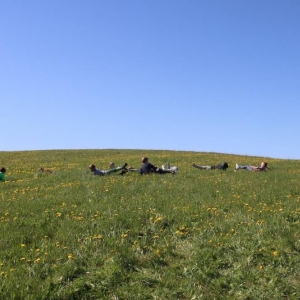 Grupa uczniów turla się z po trawie z górki.