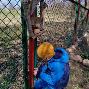 Chłopiec przywiązuje jeden z końców sznurka do ogrodzenia, na którym zawieszony jest domek dla owadów.